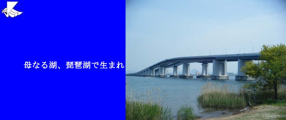 学生寮|湖国寮-公益財団法人|湖国協会|格安|武蔵野市-